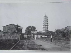 第四章：重建失败与新纪元