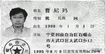 五、实战案例解析——从明星到路人甲都这么玩！🤩🤩🤩