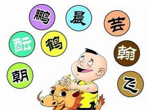 秦姓女孩取名时有没有哪些生僻或负面文字需要避免呢？
