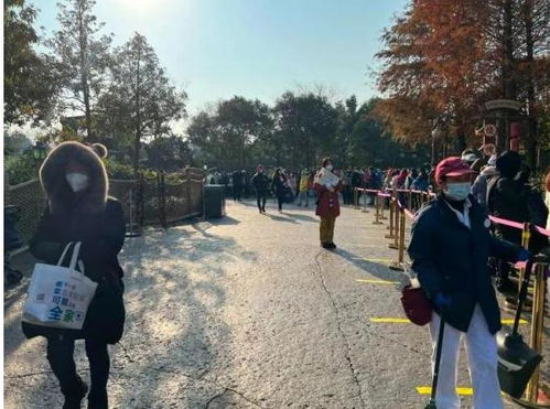 初见白马涧：残枝枯叶，隐秘小道 (以及一些奇怪的回忆)