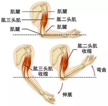 震惊！眼尾下垂的男人竟有这些不为人知的秘密！2026年运势大揭秘