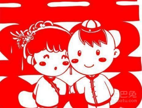 属兔的小可爱