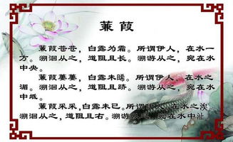 诗经中霸气诗句，嫩否成为我自创诗集的响亮名字？