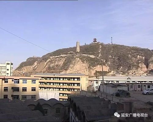 三、 旅行项目较大揭秘：玩点儿真实够刺激