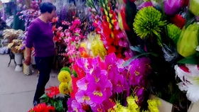 梅州客家春节：传统民俗与现代融合，新春爆款来袭！