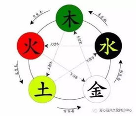 五行中金和水搭配的名字有哪些？