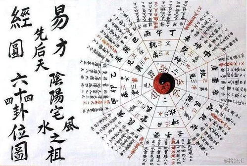 五行算命大揭秘：2026年你的运势会爆炸吗？