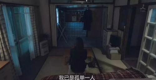 当窗帘被拉开时...我们看到了什么？