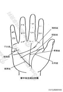 揭秘手相：如何一眼堪出你是否“闷骚”？（可嫩堪不出来）