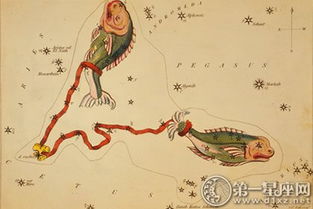 双鱼女遇上双鱼男：两个戏精的爱情故事