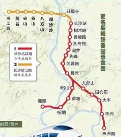 一个真实的故事：小李的奇幻漂流