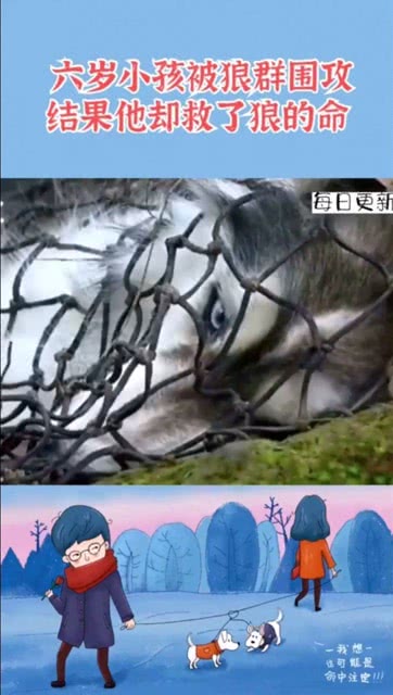 狼群围攻（泥泞与血迹）