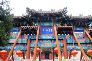 公交线路：像坐过山车一样刺激