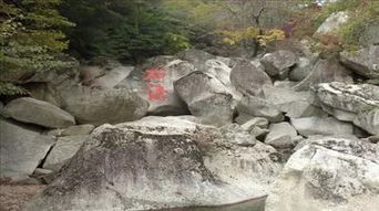 四、活动项目——花钱买刺激还是买噱头？