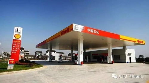 加油站：新鲜泽西州的隐藏宝藏这个？