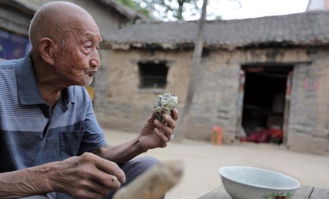 晚年行乞和落魄的生肖分别是什么？