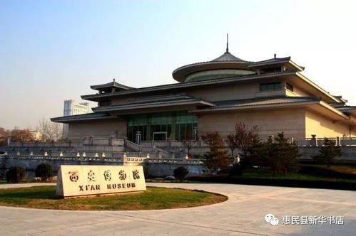 洛阳博物馆：终于有点文化含量了
