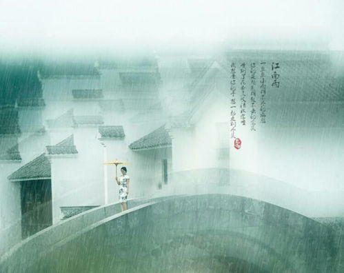 星宿与五行：井口的阴阳罗盘