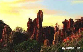 下午的时光，继续在石头堆里迷失