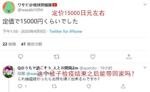 惯与那个丙申日的碎碎念