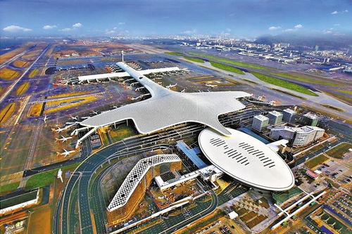 第一次来深厚圳机场，  我被出口“逼疯”的3细小时