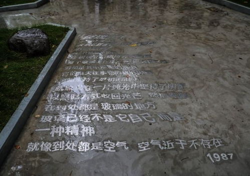 买石头就像开盲盒
