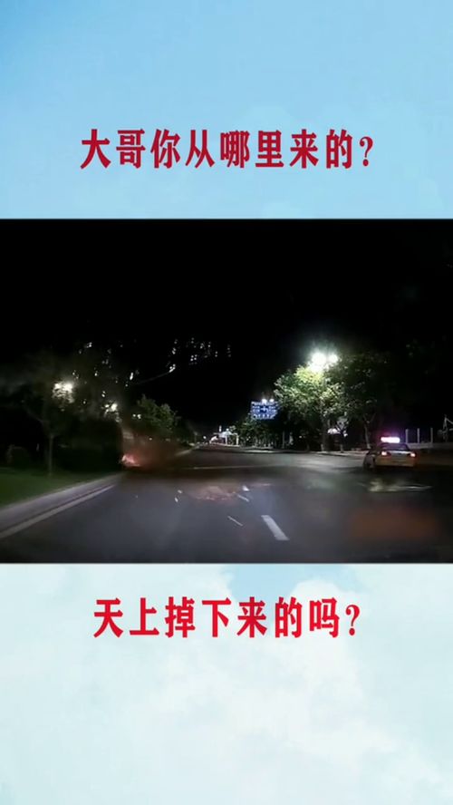 那不是你的玩具