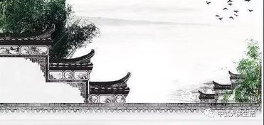 噪音4：鸟鸣声