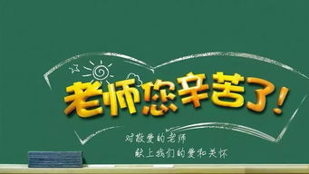 处女座与狮子座：完美的矛盾体