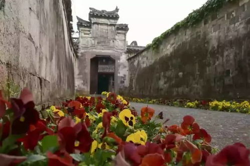 二、承包山的具体是咋回事儿？（别问我为啥要用这么多语气助词）
