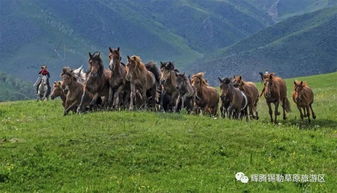 详细的行车路线，拿走不谢