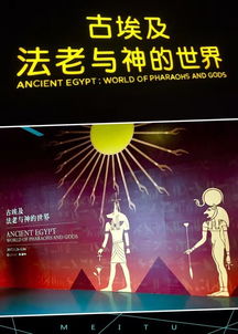 上午：探索神秘的金沙古城遗址