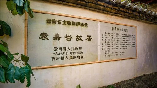 袁嘉谷：石屏才子竟然被八字克死？！