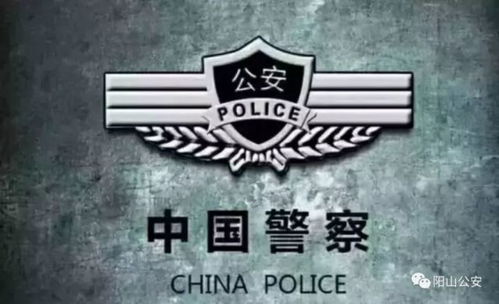 牛：踏实可靠的守护者