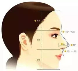 古代帝王的“鼻子观”