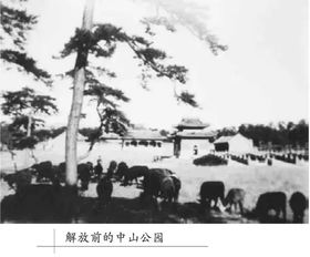 三、 探寻澄城的历史印记