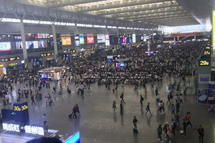 虹桥站：上海的交通运输之心跳