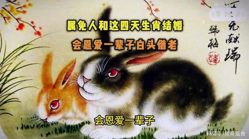 十二生肖兔和虎的婚姻配对关系如何？