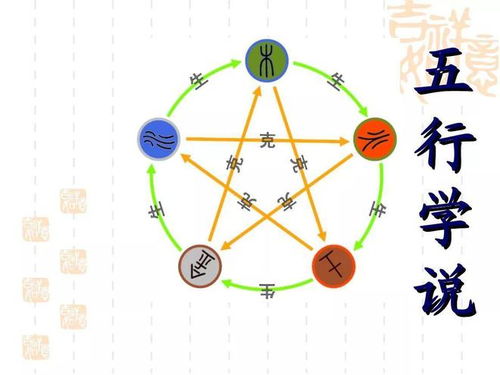 震惊！学字背后的惊天秘密，99%的人都不知道！