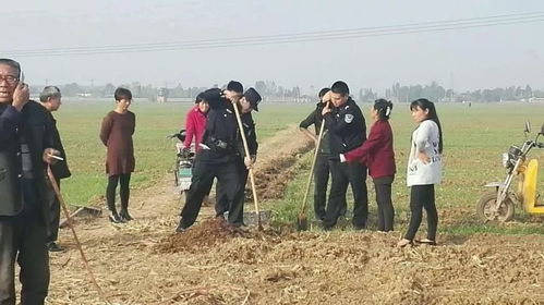 生肖解读：牛年的厄运？