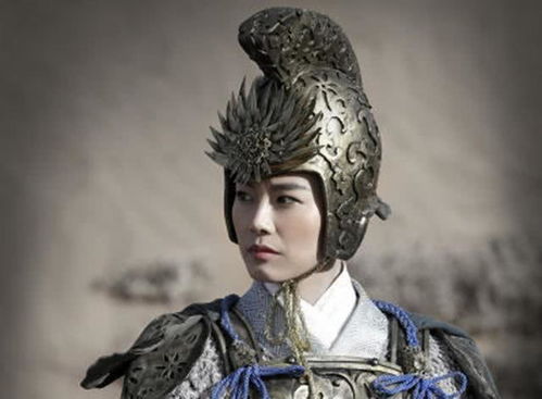 杨家将十二寡妇：星辰秘籍中的巾帼英雄