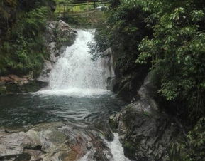 门票玄学：你以为你在省钱？太天真了！