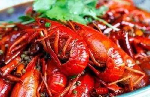 肥肥虾庄：辣到灵魂出窍