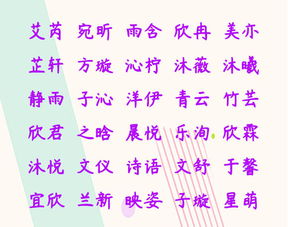 蓉字：一朵花开的象征