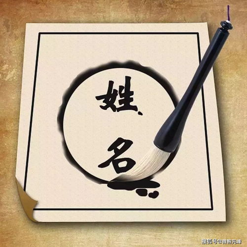 二、 泽字的五行属性与相生相克