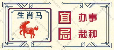 1975年属兔6月21日财运及今年整体运势具体是什么？