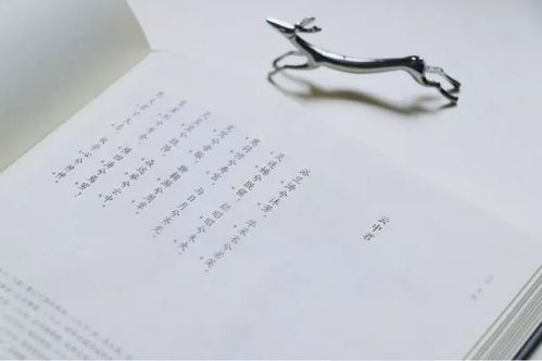 2. 外国地名切两半：让两个宝宝一起“环游世界”