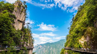 浙西秘境：大明山 除了门票还有啥花样