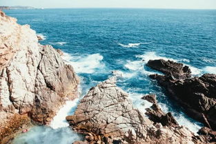 惯与那该死的“海肠”