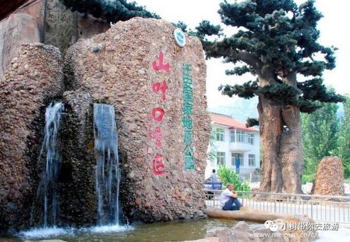 景点二：五彩石地貌——颜色倒是挺鲜艳